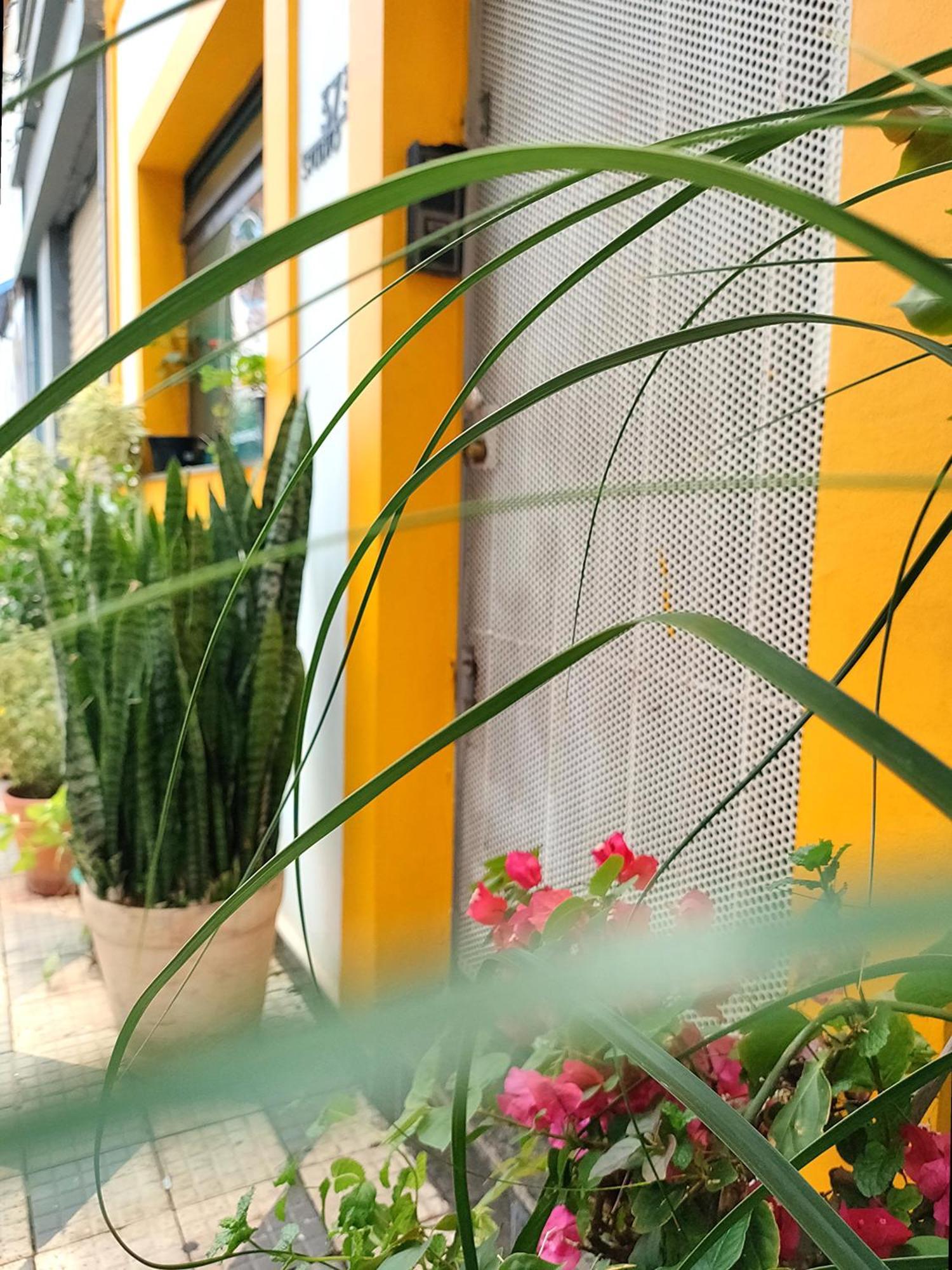 Casa 373 - Hospedaria Vila Mariana - Valores Acessiveis サンパウロ エクステリア 写真